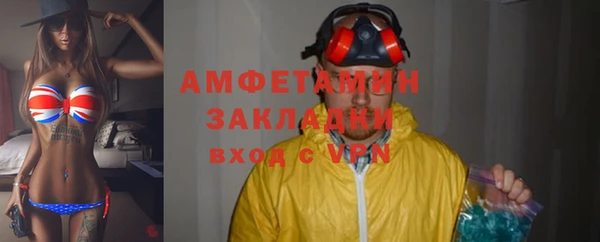 индика Касимов