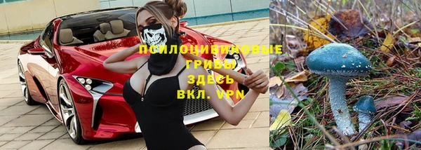 дурь Корсаков