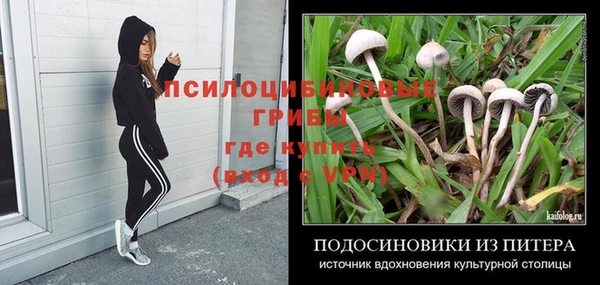 MESCALINE Кодинск