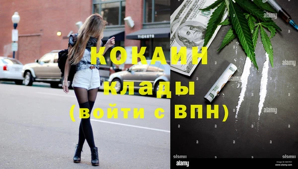 соль курить ск Козловка