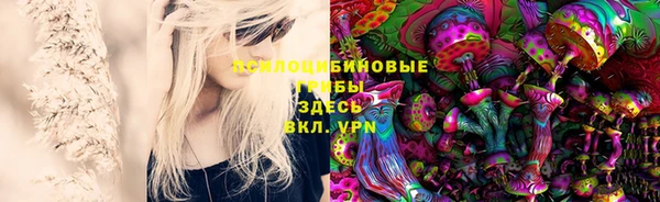соль курить ск Козловка